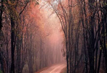 欧博官网:134-125!库里超神52+10+8+5,勇士赢下关键卡位战,3连胜升第5.