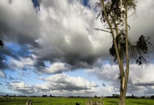 欧博官网:特里:执教主要考虑阵容和地理位置;梦想是成为切尔西主帅.