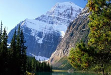 欧博官网:懂球译站|身高对于职业球员真的重要吗?.