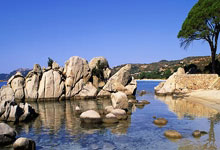 欧博官网:”无腿蛙王""无臂学霸"同台 这场励志宣讲会走进四川旅游学院.